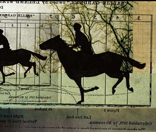 角色 ＿ 宣傳品設計｜視覺創意